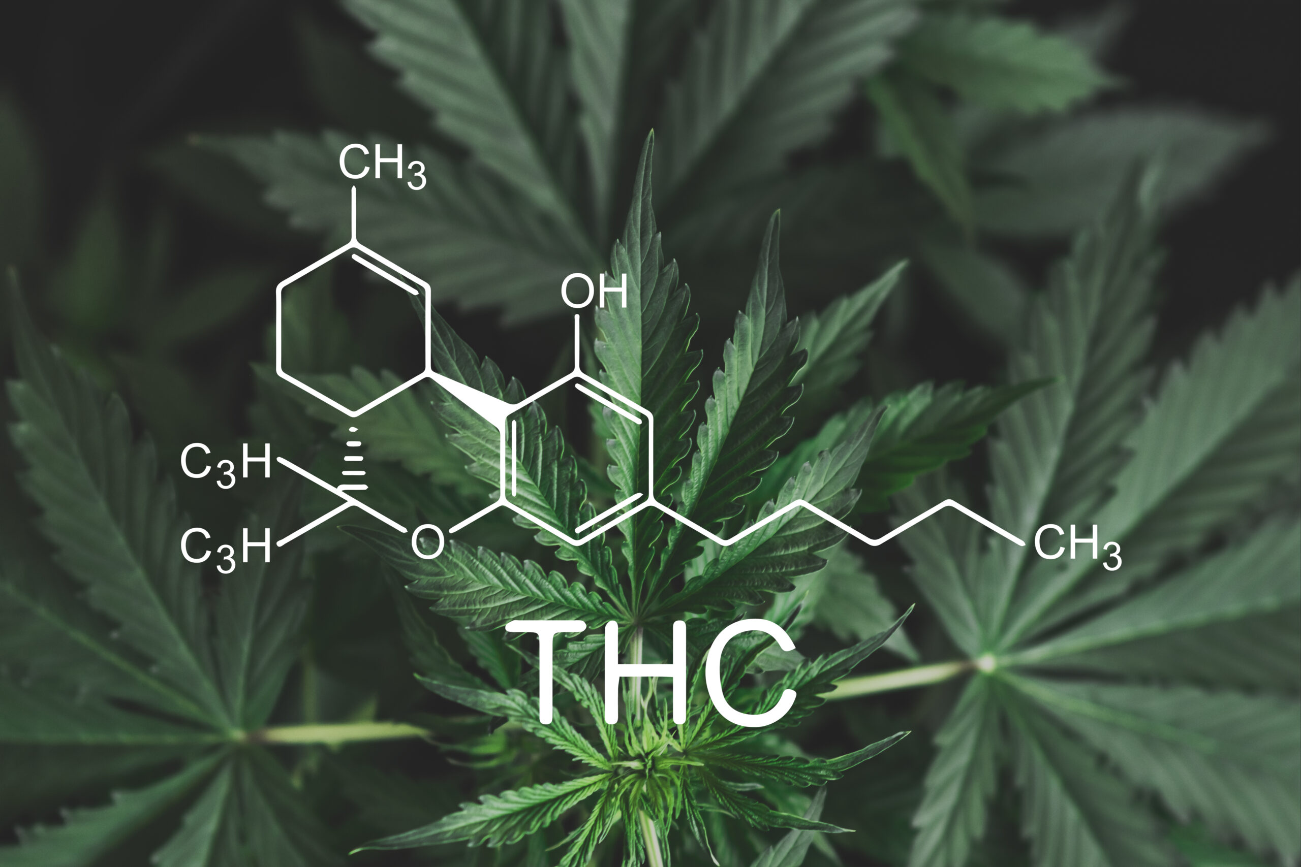 THC, Weed, Cannabis, Benefits of THC